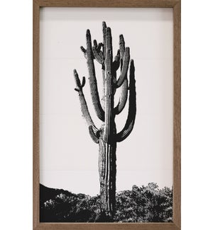 Cactus Stamp White